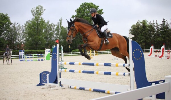 Dziki galop | lista przyjętych |