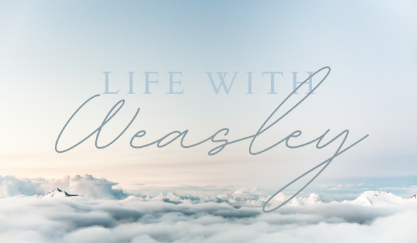 Life with Weasley 8.1 koniec (George)
