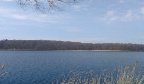 Ułuż swoją własną datę urodzenia!