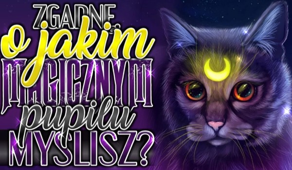 Zgadnę, o jakim magicznym pupilu myślisz?