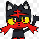 xLitten