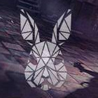 TYPOWY_LIS