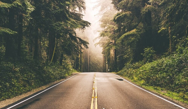 Bezpieczeństwo na drodze