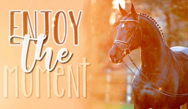 Enjoy the moment ~ part one