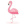 flamingo111