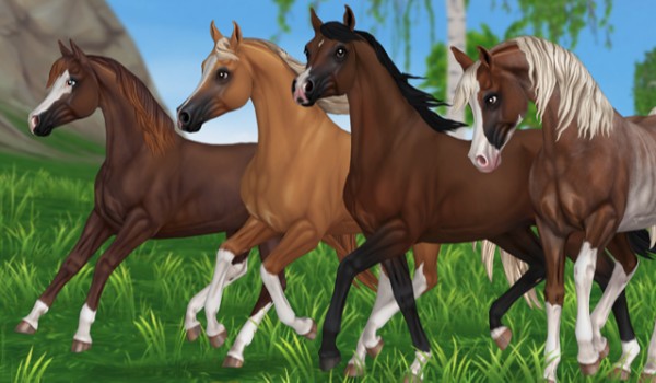 Jakiego konia arabskiego 3 generacji powinieneś kupić w Star Stable?