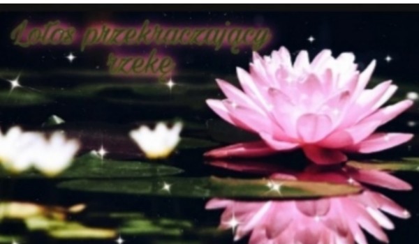 Lotos przekraczający