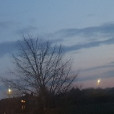 koniareczka462