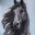 CarmenHorses