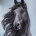 CarmenHorses