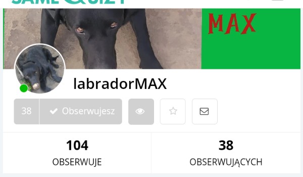 Ocenianie profilu labradorMAX