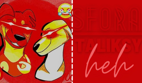 Talksy ze „Sforą” |Część druga|