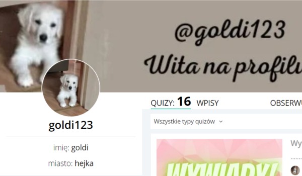 Wywiad z @goldi123