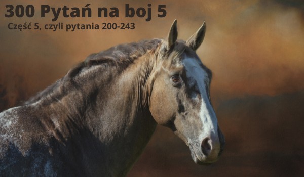 300 Pytań na BOJ cz.5/6