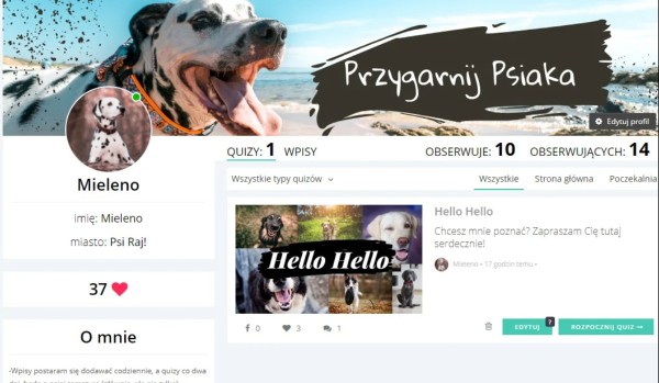 Ocenka profilu @Mieleno