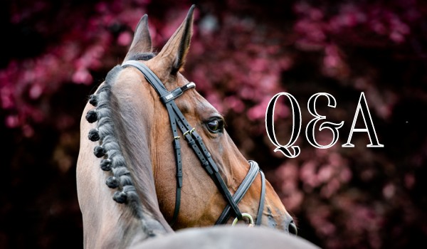 Questions and Answers • Answers • Eveline.Horse