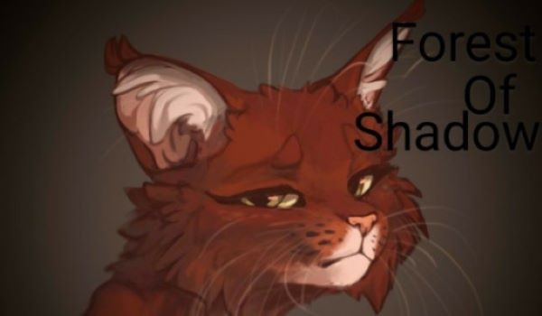 Forest of Shadow~ ep.4~
