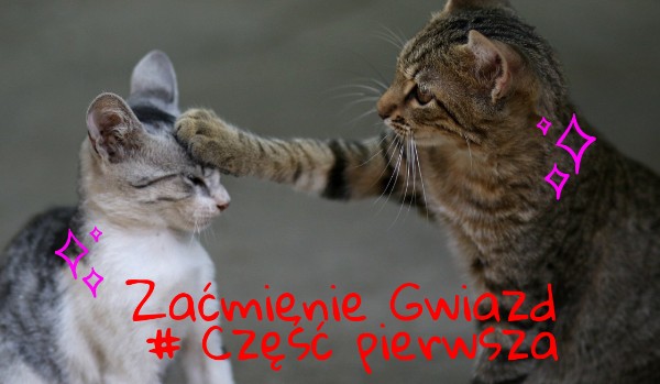 Zaćmienie Gwiazd #część pierwsza