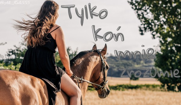 Tylko koń mnie zrozumie #0 – Prolog
