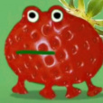 ruhajcer00