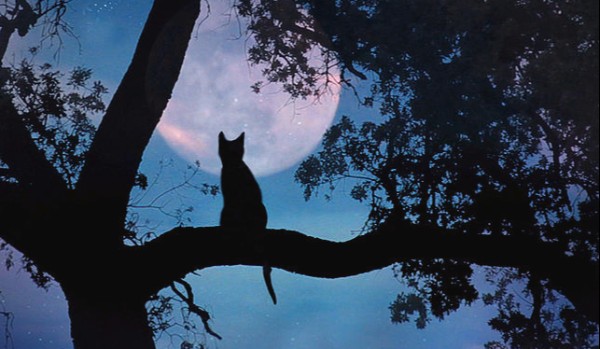 Historie z mojego żyćka #2