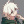 Danganronpa.Antagonist