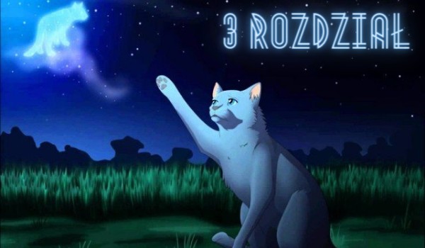 Wojownicy ~ Nowa historia