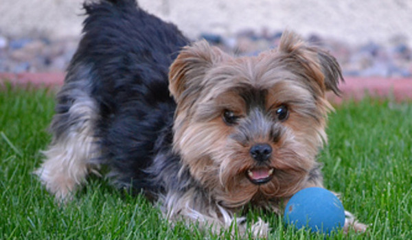 kim dzisiaj jesteś?