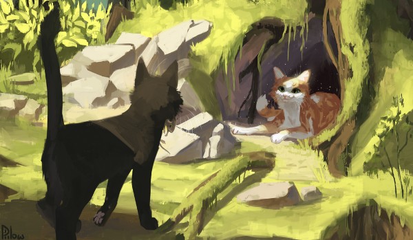 Wywiad z @.Wounded.__.stream.