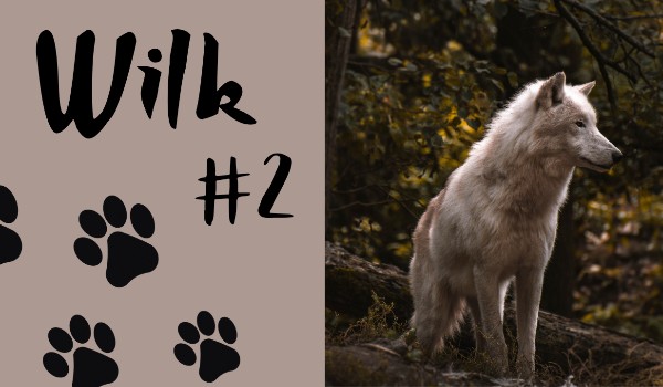 Wilk #2 | 𝑃𝑜𝑧𝑜𝑟𝑦 𝑚𝑦𝑙𝑎̨