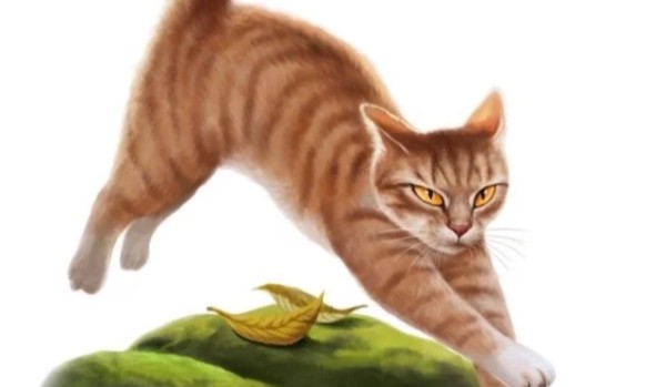 The future of Clan of Heaven- Chapter 1