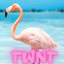 Twnt