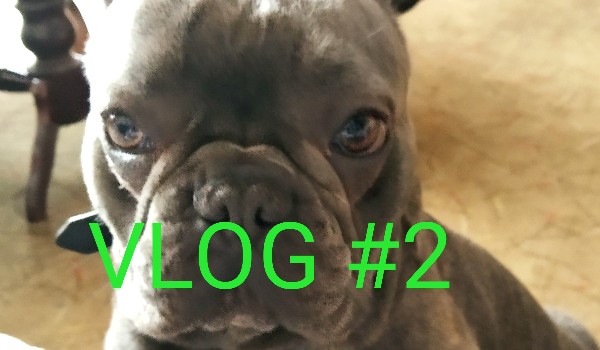 VLOG #2