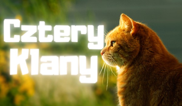 Cztery klany #16 – Nowy zastępca