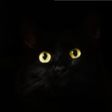 TajnyAgent114