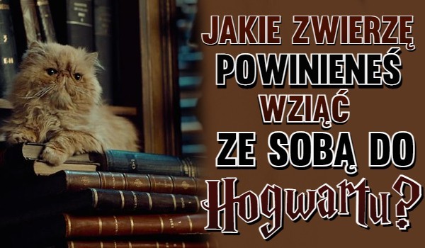 Jakie zwierzę powinieneś wziąć ze sobą do Hogwartu?