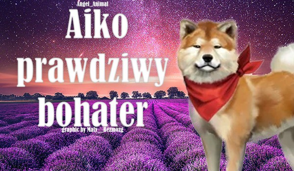 Aiko prawdziwy bohater #2