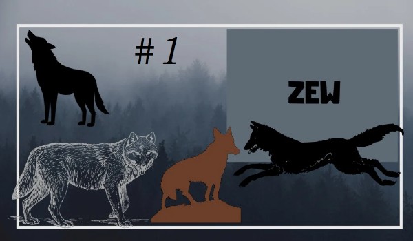 Zew #1
