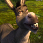 Osiol_przyjacielShreka