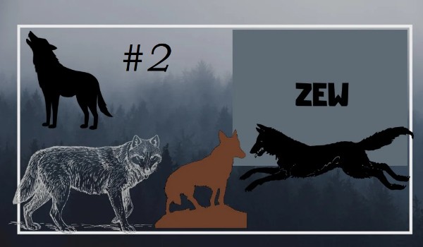 Zew #2