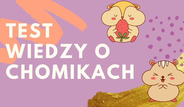 test wiedzy chomikach