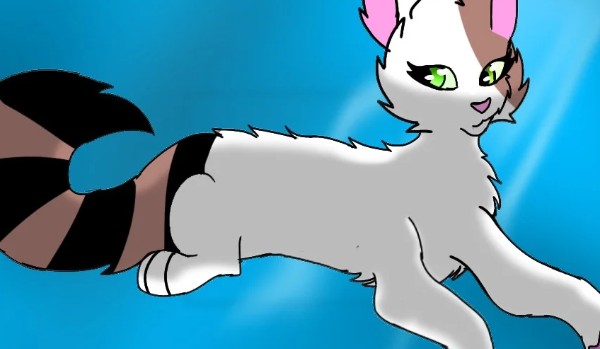 nowe postać do klanu burzy