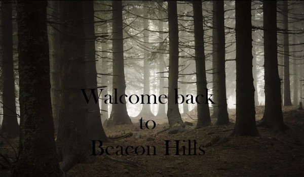 Walcome back to Beacon Hills – prologue