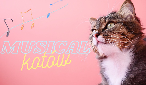 Musical kotów część 8