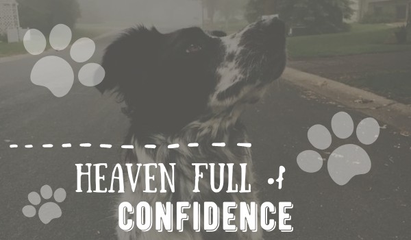 Heaven full of confidence ★one shot★
