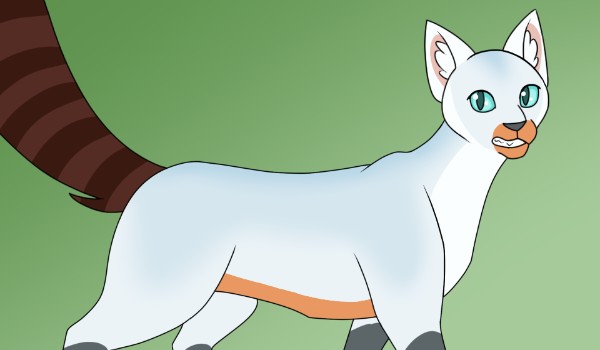 Piaskowa Efa – moje OC z klanu Drzewa