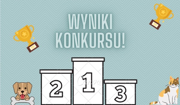 Wyniki konkursu!