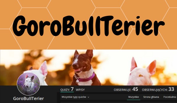 Ocenka Profilu/GoroBullTerier