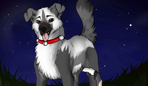 Graphik Shop – avatary psy!