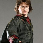 Yn-Potter